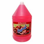 Frente del empaque de Antibacterial Carol FreshClean Cherry - 3,785 Litros